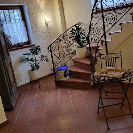 Haus Marianne Apartment Хоф бей Залцбург Екстериор снимка